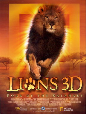 Lions 3D